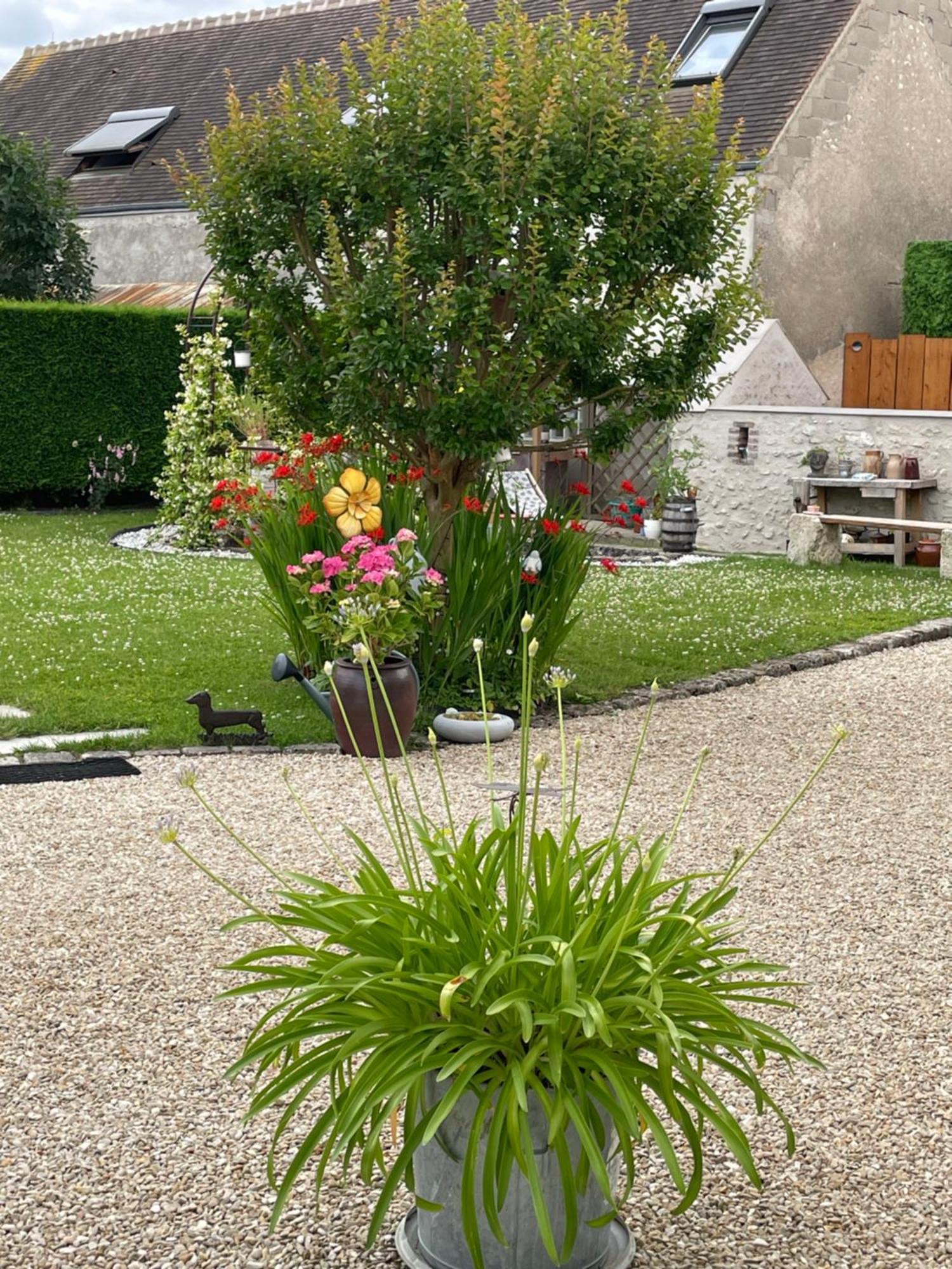 Le Clos Du Q'Hatre Clery-Saint-Andre Exterior photo